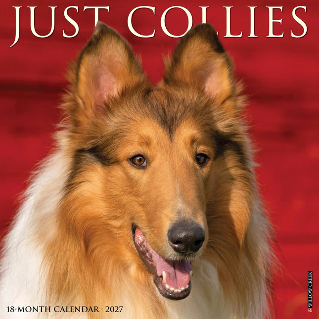 Willow Creek Collie - Schotse Herder Kalender 2027