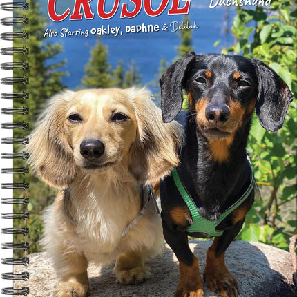 Willow Creek Crusoe de Teckel Agenda 2026