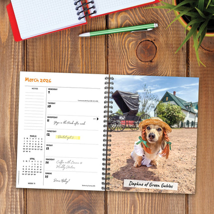 Willow Creek Crusoe de Teckel Agenda 2026