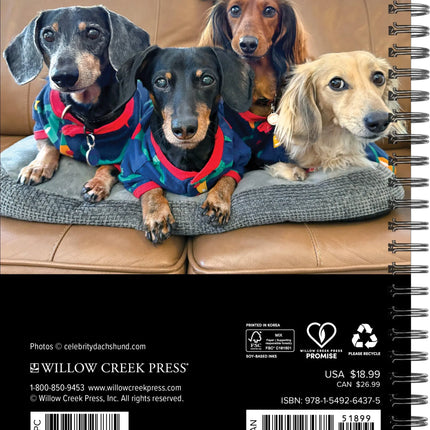 Willow Creek Crusoe de Teckel Agenda 2027