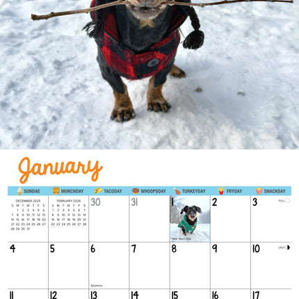 Willow Creek Crusoe de Teckel Kalender 2026
