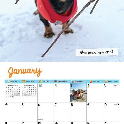 Willow Creek Crusoe de Teckel Kalender 2026 Mini