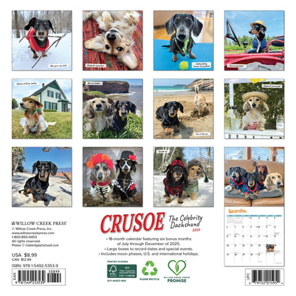 Willow Creek Crusoe de Teckel Kalender 2026 Mini
