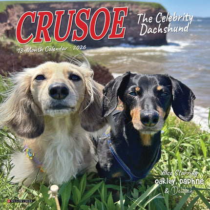 Willow Creek Crusoe de Teckel Kalender 2026 Mini