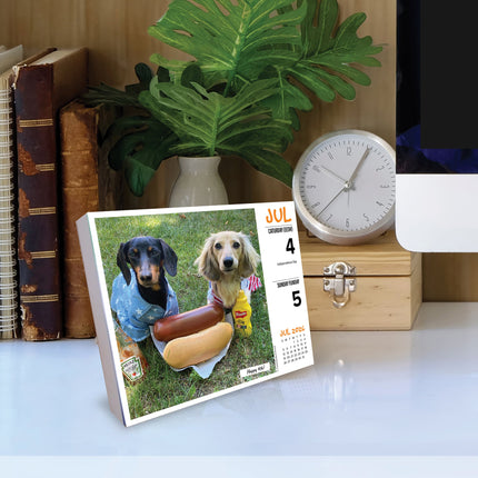 Willow Creek Crusoe de Teckel Scheurkalender 2026 Boxed