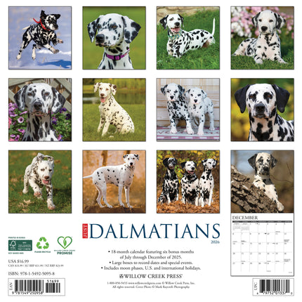 Willow Creek Dalmatiër Kalender 2026