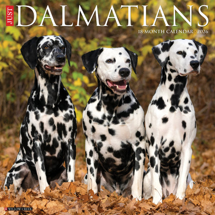 Willow Creek Dalmatiër Kalender 2026
