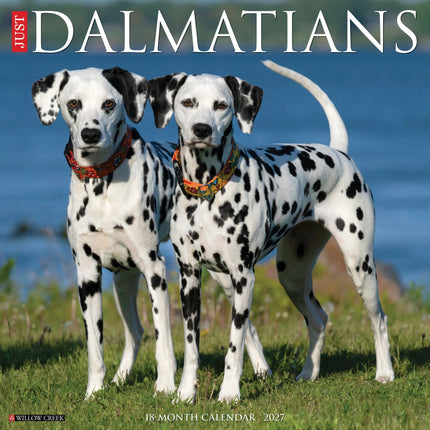 Willow Creek Dalmatiër Kalender 2027