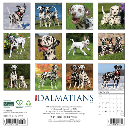 Willow Creek Dalmatiër Kalender 2027