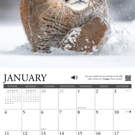 Willow Creek De Wildernis Kalender 2026