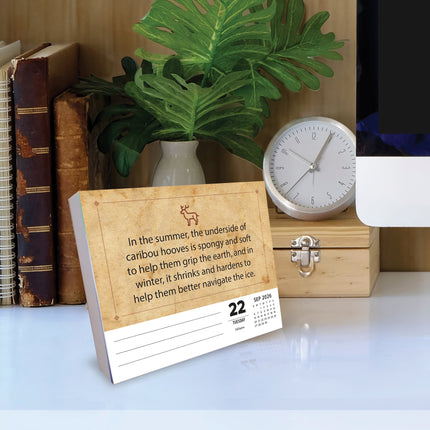Willow Creek Dierlijke Feiten Scheurkalender 2026 Boxed