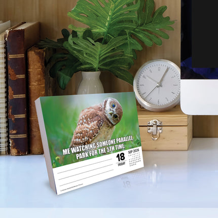 Willow Creek Dierlijke streken Scheurkalender 2026 Boxed