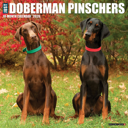 Willow Creek Dobermann Kalender 2026