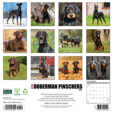 Willow Creek Dobermann Kalender 2026