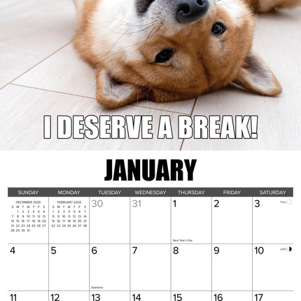 Willow Creek Dog-Gone-It Kalender 2026