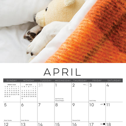 Willow Creek Dog Naps Kalender 2026