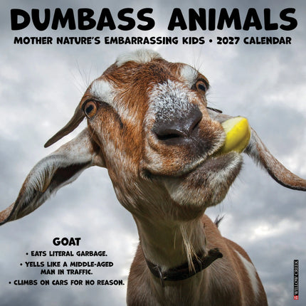 Willow Creek Domme dieren Kalender 2027