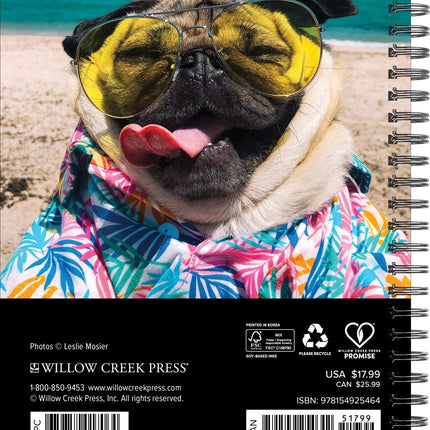 Willow Creek Doug the Pug Agenda 2026