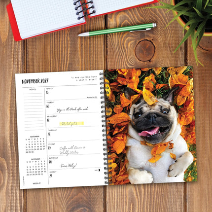 Willow Creek Doug the Pug Agenda 2027