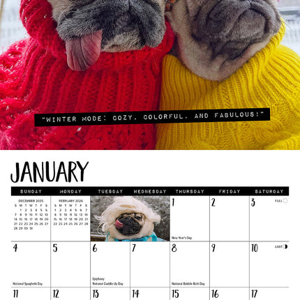 Willow Creek Doug the Pug Kalender 2026 Mini