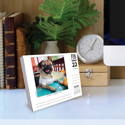 Willow Creek Doug the Pug Scheurkalender 2027 Boxed