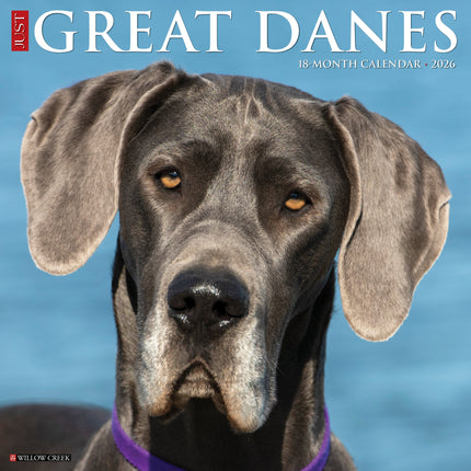 Willow Creek Duitse Dog Kalender 2026