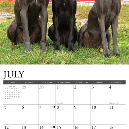 Willow Creek Duitse Dog Kalender 2026