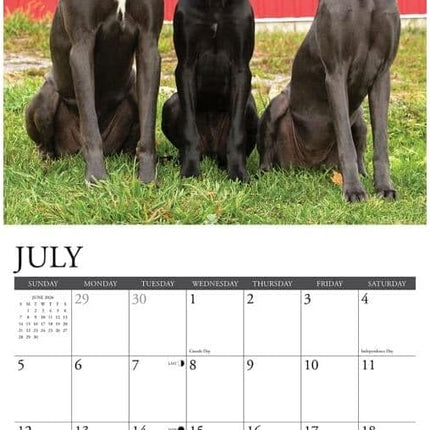 Willow Creek Duitse Dog Kalender 2026