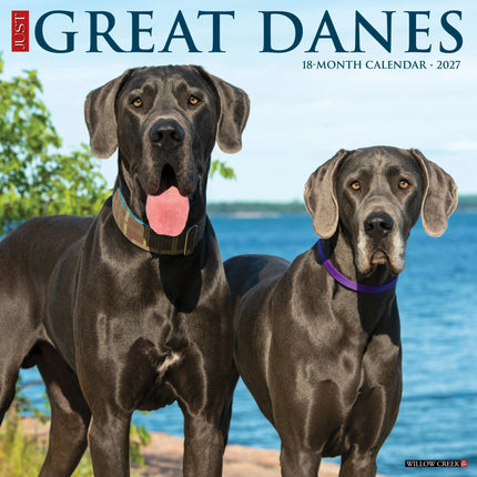 Willow Creek Duitse Dog Kalender 2027