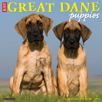 Willow Creek Duitse Dog Puppies Kalender 2027