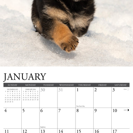 Willow Creek Duitse Herder Puppies Kalender 2026