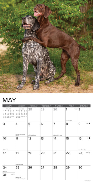 Willow Creek Duitse Staande Kalender 2026