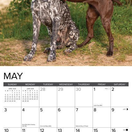 Willow Creek Duitse Staande Kalender 2027