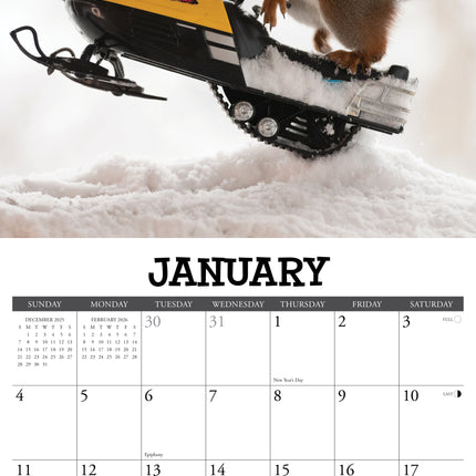 Willow Creek Eekhoorn Kalender 2026
