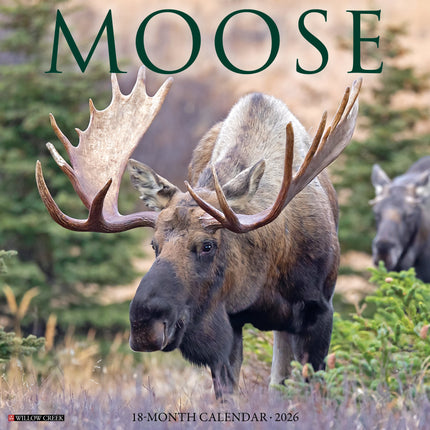 Willow Creek Eland Kalender 2026