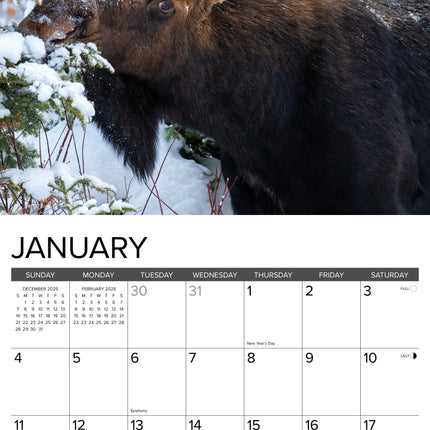 Willow Creek Eland Kalender 2026