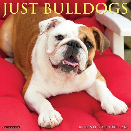 Willow Creek Engelse Buldog Kalender 2026