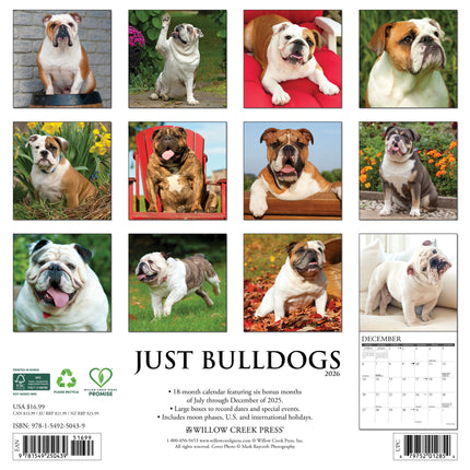 Willow Creek Engelse Buldog Kalender 2026