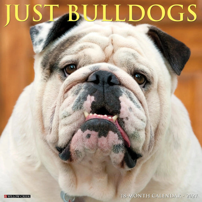 Willow Creek Engelse Buldog Kalender 2027