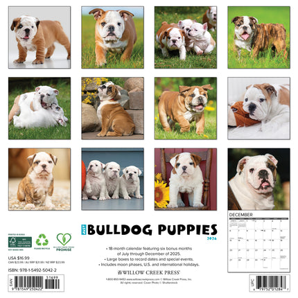 Willow Creek Engelse Bulldog Puppies Kalender 2026