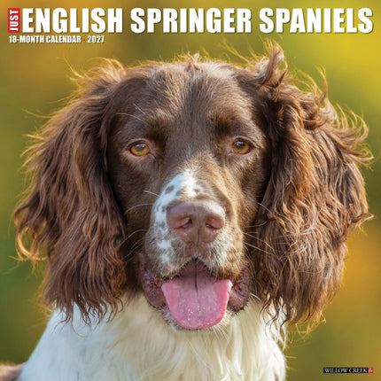 Willow Creek Engelse Springer Spaniel Kalender 2027