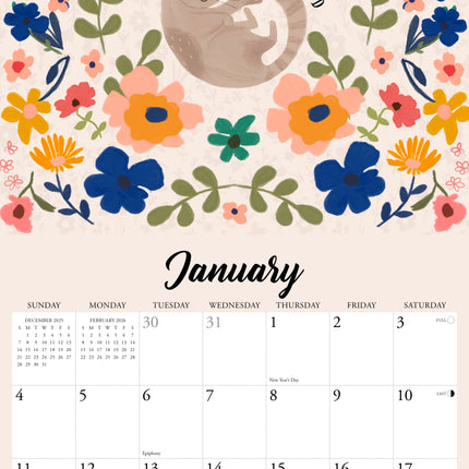 Willow Creek Every Home Needs a Cat (MHS) Kalender 2026