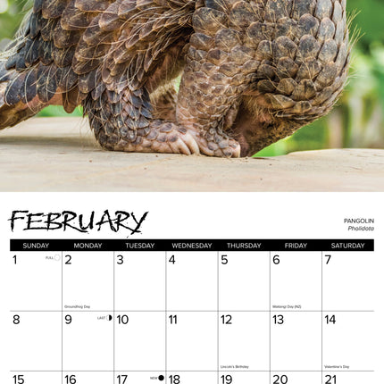 Willow Creek Exotische Dieren Kalender 2026