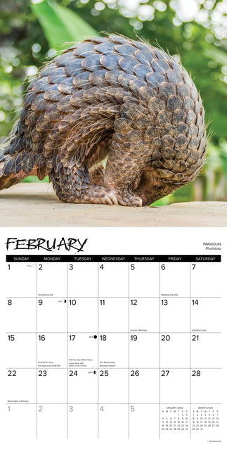 Willow Creek Exotische Dieren Kalender 2026