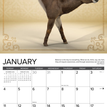 Willow Creek Ezel Yoga Kalender 2026