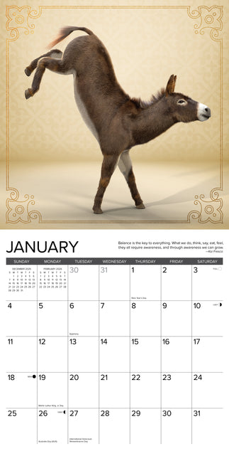 Willow Creek Ezel Yoga Kalender 2026