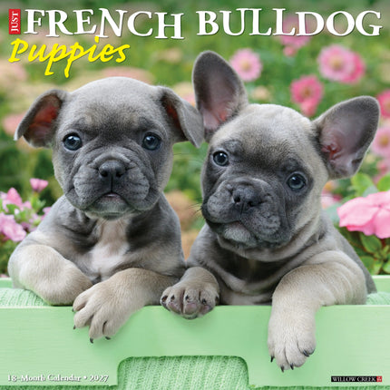 Willow Creek Franse Bulldog Puppies Kalender 2027
