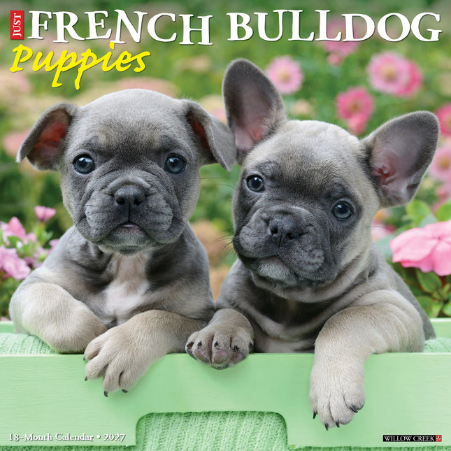 Willow Creek Franse Bulldog Puppies Kalender 2027