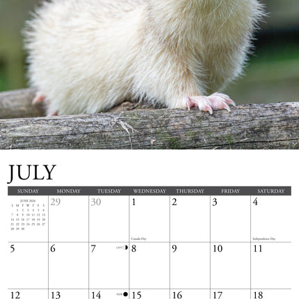 Willow Creek Fretten Kalender 2026