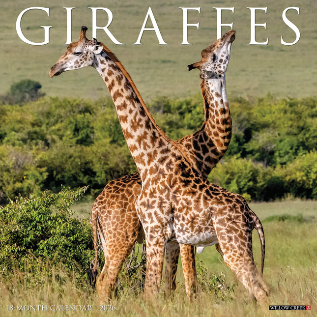 Willow Creek Giraffen Kalender 2026